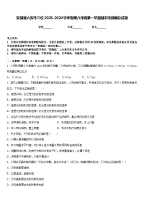 安徽省六安市三校2023-2024学年物理八年级第一学期期末检测模拟试题含答案