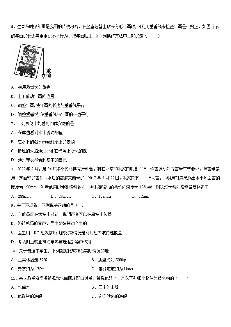 安徽省六安市三校2023-2024学年物理八年级第一学期期末检测模拟试题含答案第2页