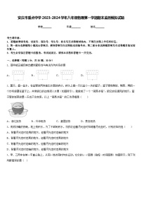 安庆市重点中学2023-2024学年八年级物理第一学期期末监测模拟试题含答案