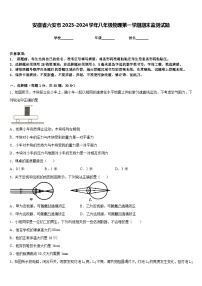 安徽省六安市2023-2024学年八年级物理第一学期期末监测试题含答案