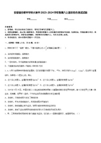 安徽省合肥中学科大附中2023-2024学年物理八上期末综合测试试题含答案