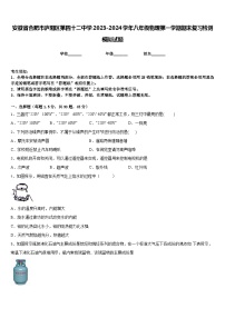 安徽省合肥市庐阳区第四十二中学2023-2024学年八年级物理第一学期期末复习检测模拟试题含答案