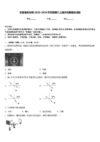 安徽省利辛县2023-2024学年物理八上期末经典模拟试题含答案