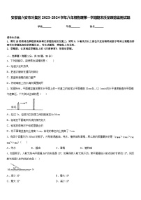 安徽省六安市叶集区2023-2024学年八年级物理第一学期期末质量跟踪监视试题含答案