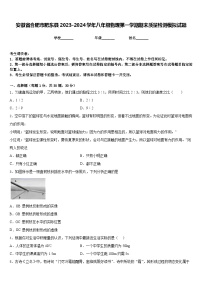 安徽省合肥市肥东县2023-2024学年八年级物理第一学期期末质量检测模拟试题含答案