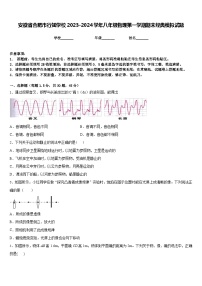 安徽省合肥市行知学校2023-2024学年八年级物理第一学期期末经典模拟试题含答案