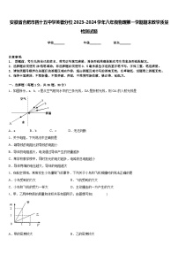 安徽省合肥市四十五中学芙蓉分校2023-2024学年八年级物理第一学期期末教学质量检测试题含答案