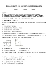 安徽省六安市皋城中学2023-2024学年八上物理期末质量跟踪监视试题含答案