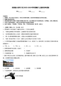 安徽省六安市三校2023-2024学年物理八上期末统考试题含答案