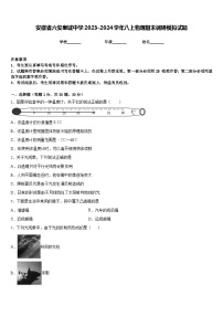 安徽省六安皋城中学2023-2024学年八上物理期末调研模拟试题含答案