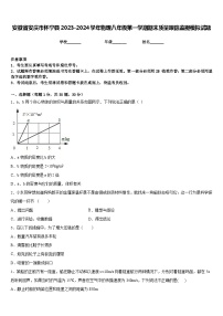 安徽省安庆市怀宁县2023-2024学年物理八年级第一学期期末质量跟踪监视模拟试题含答案