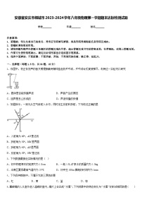 安徽省安庆市桐城市2023-2024学年八年级物理第一学期期末达标检测试题含答案