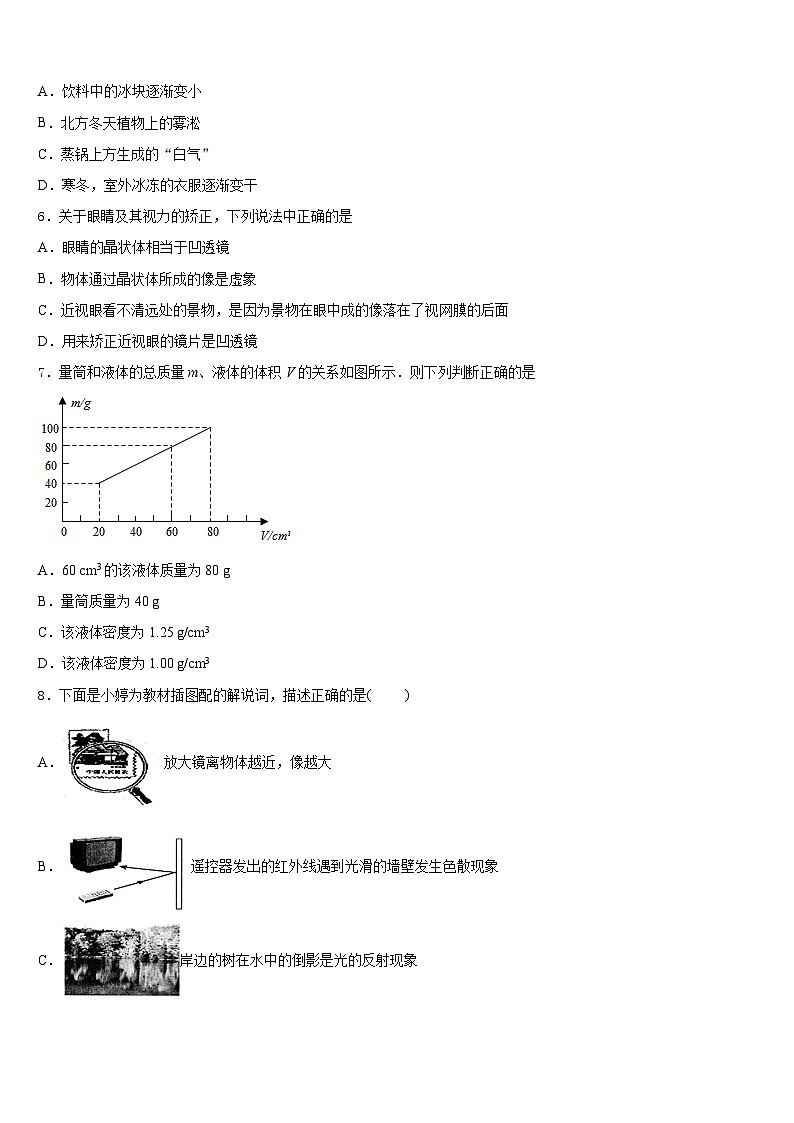 安徽省安庆市桐城市2023-2024学年八年级物理第一学期期末达标检测试题含答案02