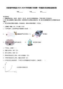 安徽省蚌埠局属2023-2024学年物理八年级第一学期期末质量跟踪监视试题含答案