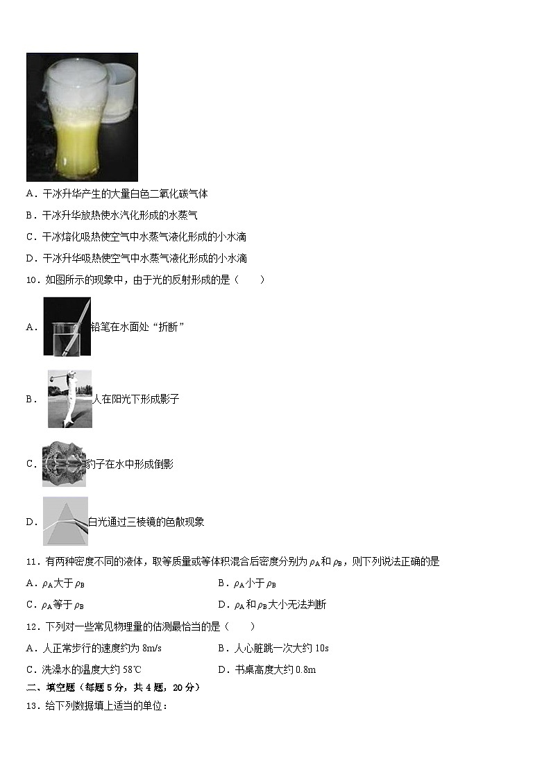 安徽省巢湖市名校2023-2024学年八上物理期末质量检测模拟试题含答案第3页