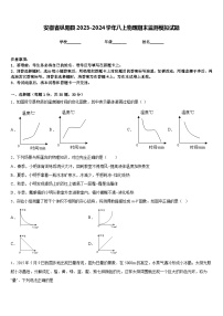 安徽省枞阳县2023-2024学年八上物理期末监测模拟试题含答案