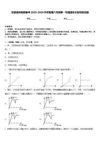 安徽省枞阳县联考2023-2024学年物理八年级第一学期期末达标检测试题含答案