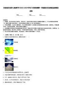 安徽省定远县七里塘中学2023-2024学年八年级物理第一学期期末质量跟踪监视模拟试题含答案