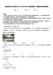 安徽省淮北市五校联考2023-2024学年八年级物理第一学期期末统考模拟试题含答案