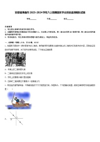 安徽省淮南市2023-2024学年八上物理期末学业质量监测模拟试题含答案