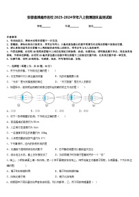 安徽省淮南市名校2023-2024学年八上物理期末监测试题含答案