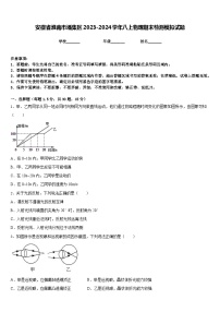 安徽省淮南市潘集区2023-2024学年八上物理期末检测模拟试题含答案