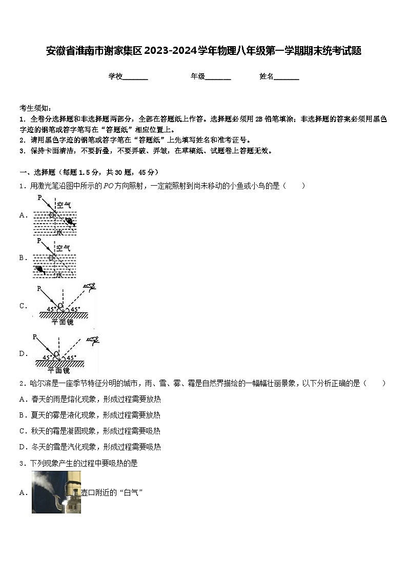 安徽省淮南市谢家集区2023-2024学年物理八年级第一学期期末统考试题含答案01