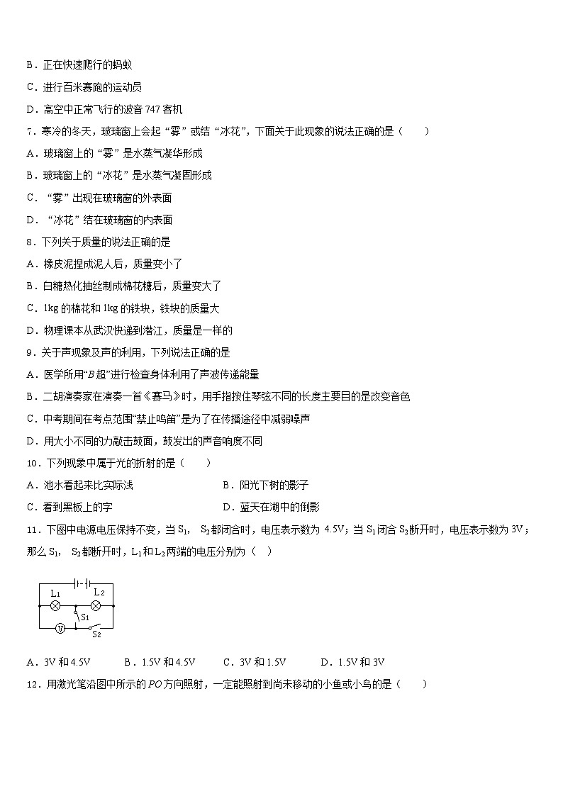 安徽省灵璧县2023-2024学年物理八年级第一学期期末综合测试模拟试题含答案第3页