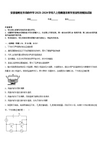 安徽省明光市泊岗中学2023-2024学年八上物理期末教学质量检测模拟试题含答案