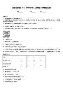 安徽省舒城县2023-2024学年八上物理期末调研模拟试题含答案