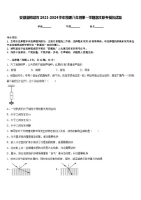 安徽省桐城市2023-2024学年物理八年级第一学期期末联考模拟试题含答案