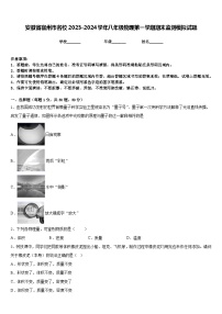 安徽省宿州市名校2023-2024学年八年级物理第一学期期末监测模拟试题含答案