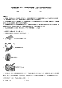 安徽省宿州市2023-2024学年物理八上期末达标检测模拟试题含答案