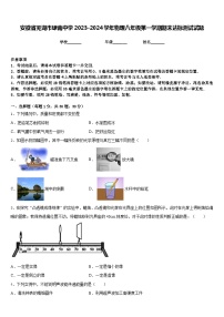 安徽省芜湖市埭南中学2023-2024学年物理八年级第一学期期末达标测试试题含答案