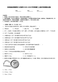 安徽省宿州埇桥区七校联考2023-2024学年物理八上期末检测模拟试题含答案