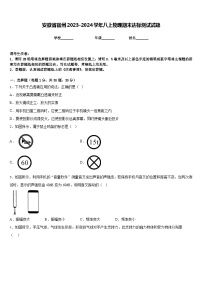 安徽省宿州2023-2024学年八上物理期末达标测试试题含答案