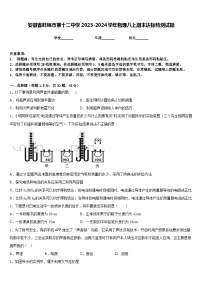 安徽省蚌埠市第十二中学2023-2024学年物理八上期末达标检测试题含答案