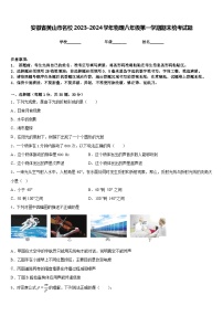 安徽省黄山市名校2023-2024学年物理八年级第一学期期末统考试题含答案