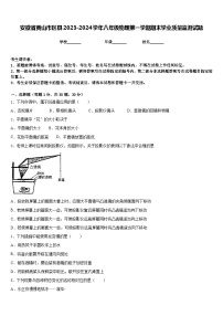 安徽省黄山市区县2023-2024学年八年级物理第一学期期末学业质量监测试题含答案