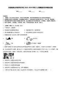 安徽省黄山市新世纪学校2023-2024学年八上物理期末统考模拟试题含答案