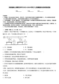 安徽省颍上县第五中学2023-2024学年八上物理期末达标检测试题含答案