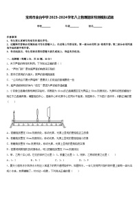 宝鸡市金台中学2023-2024学年八上物理期末检测模拟试题含答案