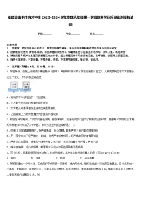 福建省南平市育才中学2023-2024学年物理八年级第一学期期末学业质量监测模拟试题含答案