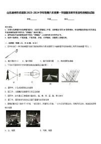 山东德州市武城县2023-2024学年物理八年级第一学期期末教学质量检测模拟试题含答案