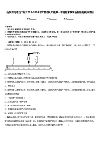 山东济南市历下区2023-2024学年物理八年级第一学期期末教学质量检测模拟试题含答案