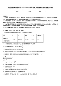 山东日照明望台中学2023-2024学年物理八上期末达标检测模拟试题含答案