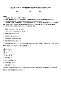 山东省2023-2024学年物理八年级第一学期期末综合测试试题含答案