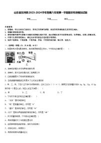 山东省东阿县2023-2024学年物理八年级第一学期期末检测模拟试题含答案