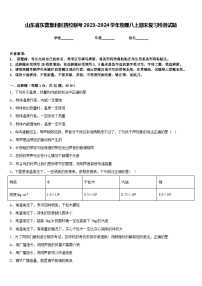 山东省东营垦利区四校联考2023-2024学年物理八上期末复习检测试题含答案