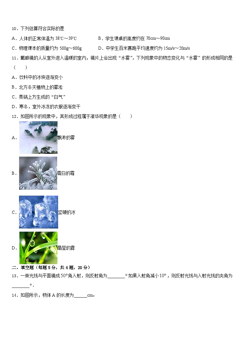 山东省临沂市青云镇中学心中学2023-2024学年物理八上期末考试模拟试题含答案第3页